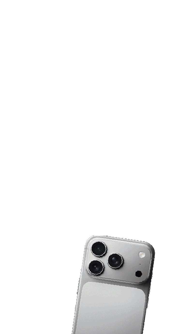 Internal Chip